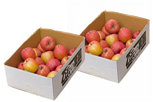 ���i�C���[�W