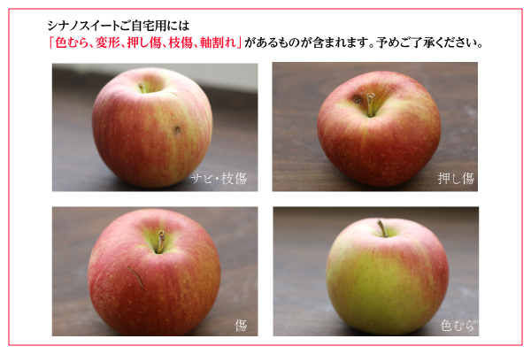 山形りんご 昂林 こうりん 約3kg 09 N 早生りんご 販売 通販 味の農園