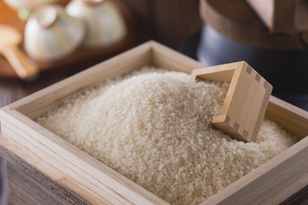 令和6年産】山形県産 はえぬき 20kg(5kg×4)(10-H3) はえぬき 令和6年産】山形県産 はえぬき 20kg(5kg×4)(10-H3) はえぬき