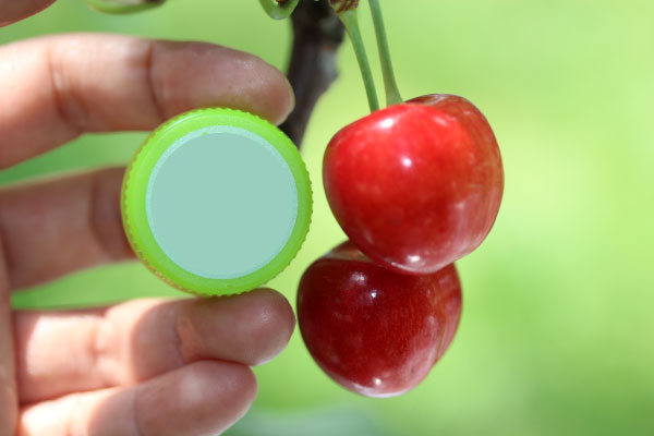 【超希少、残り限定2箱】自家栽培山形県産　さくらんぼ　紅てまり　箱込み1kg Amazon.co.jp: 極実 大粒さくらんぼ 紅てまり 約350g×2 2～4L