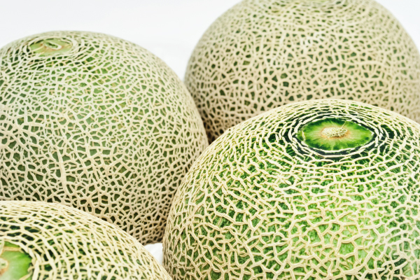 メロン 富良野メロン（秀) 1.6Kg×2玉 北海道産 めろん 出荷時期：7〜9月